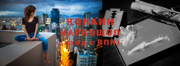 a pvp Пересвет