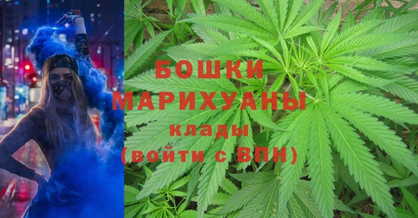 соль ск Пестово