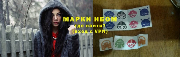 a pvp Пересвет