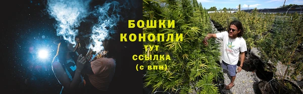 соль ск Пестово