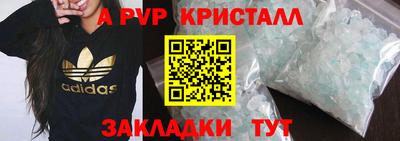 крисы Гагарин