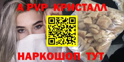 крисы Гагарин