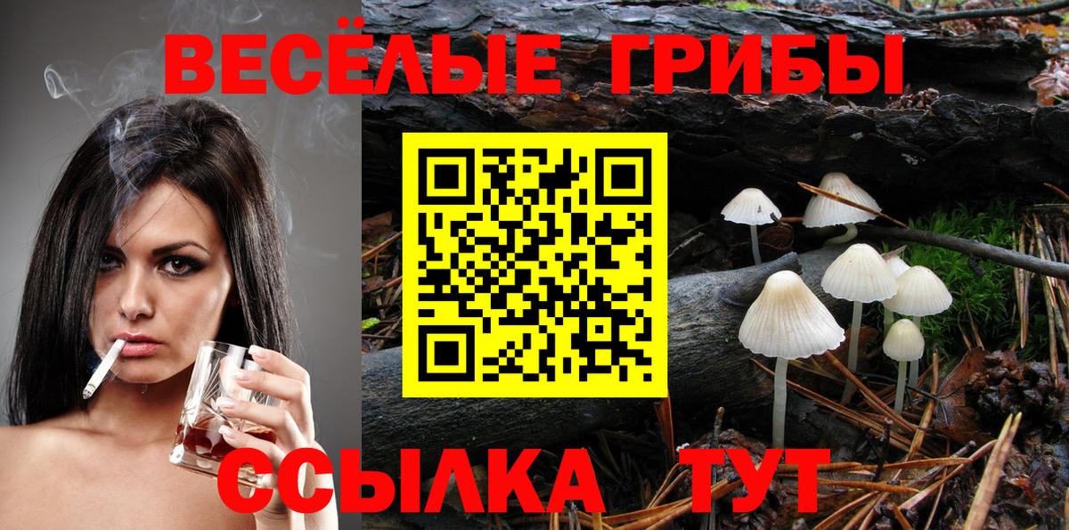 Галлюциногенные грибы Psilocybine cubensis  Вход с VPN  Дальнереченск  Галлюциногенные грибы Cubensis 