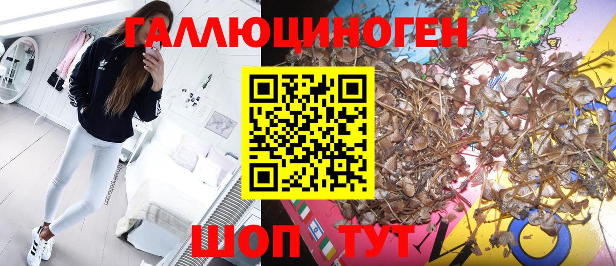 Галлюциногенные грибы мицелий Дальнереченск